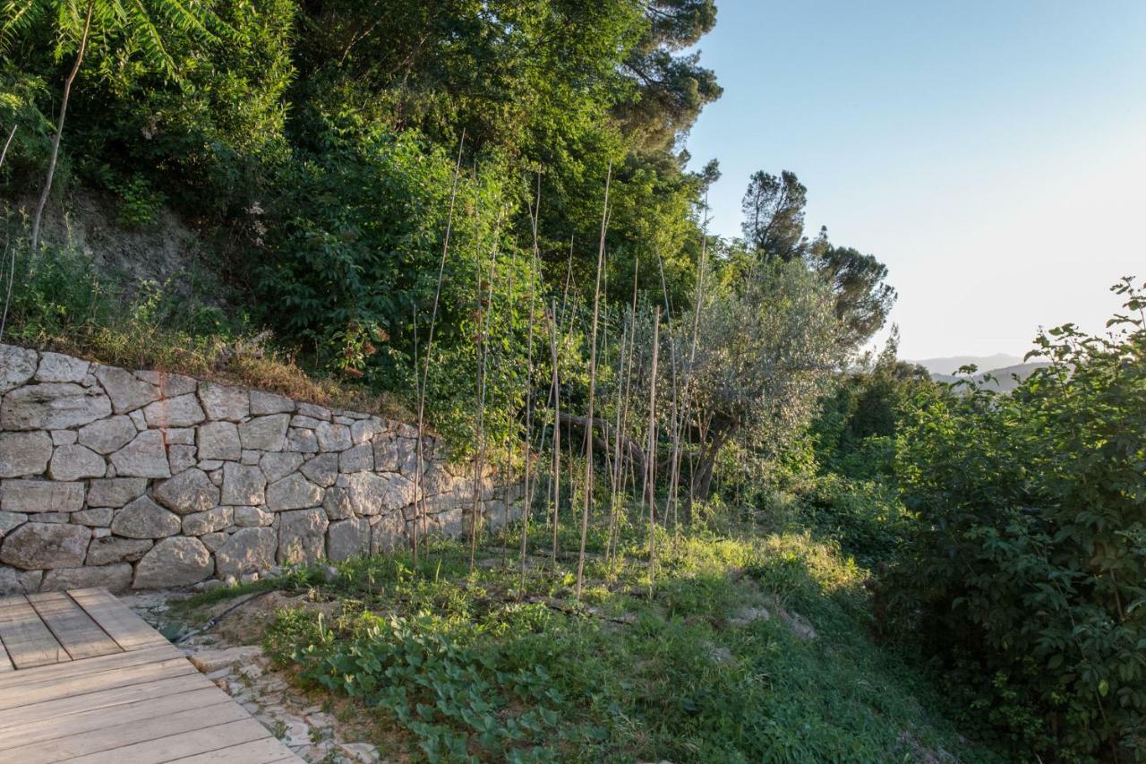 Villa Fortezza Antique Rooms Ascoli Piceno Zewnętrze zdjęcie
